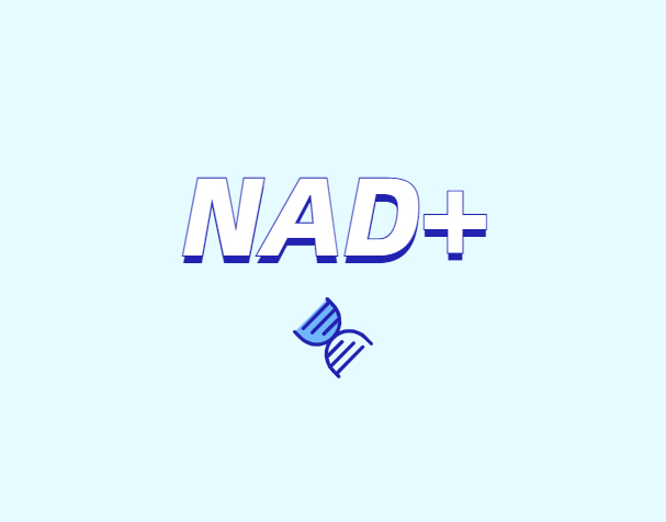 NAD與NMN的全新概念？